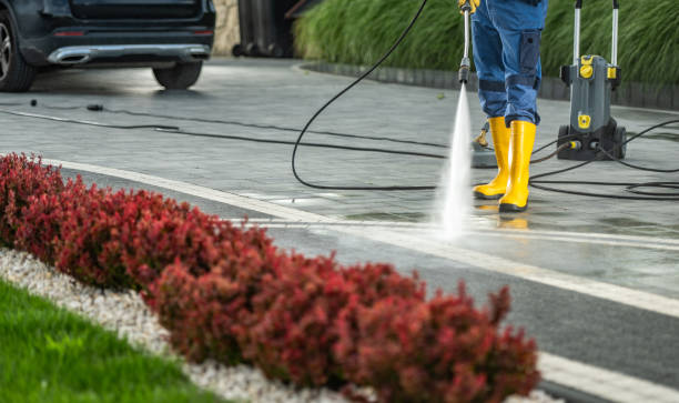 Best Dumpster Area Cleaning  in Sebastian, TX
